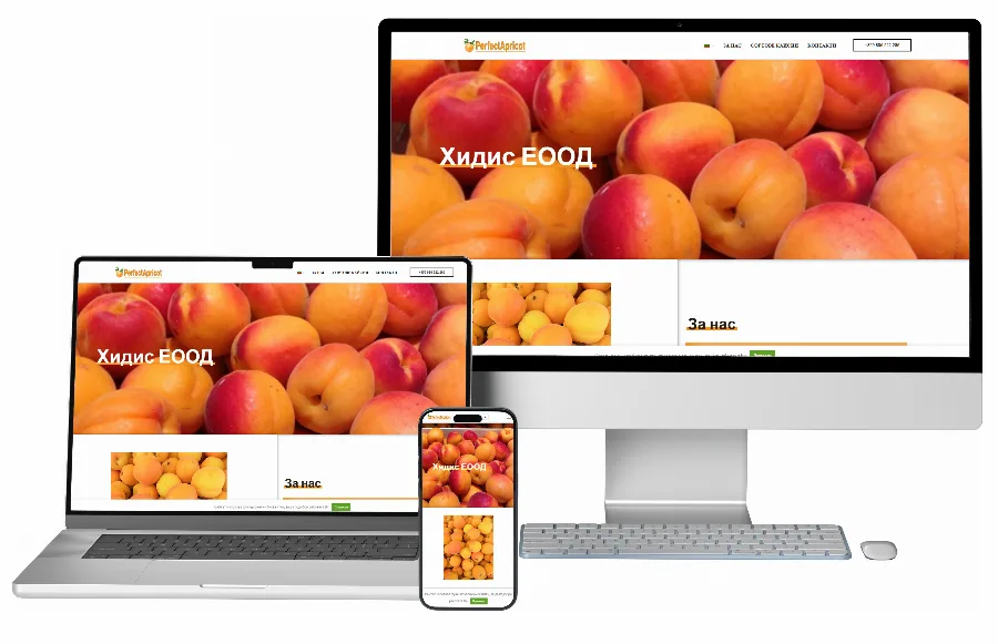 Development of a corporate website for Hidis EOOD — Corporate websites by GetSEO