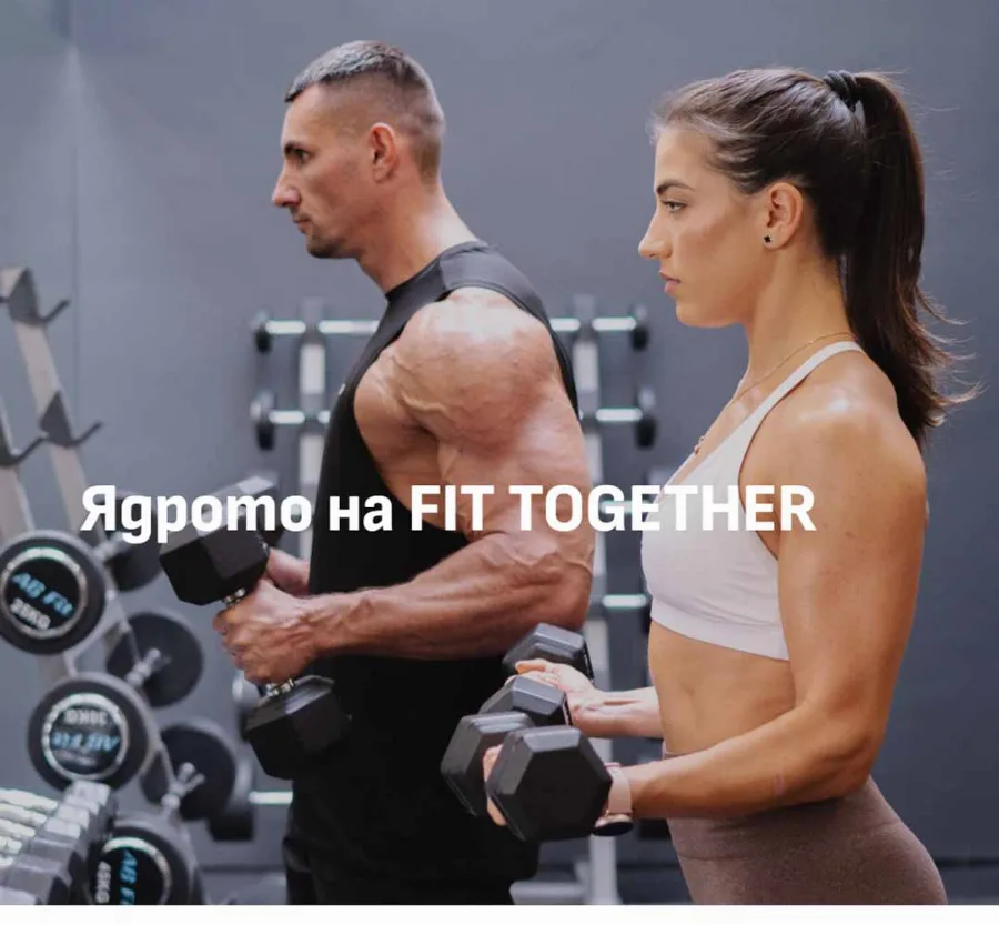 Development of the Fittogether Website website by GetSEO